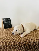 processed/0653e1ea-c266-459c-94d9-b42b5c87e3f1/listing/1ebc5475-cd98-4bff-9821-b0767837235b/bb51164d-fcc1-4cf3-9c78-d5eb37c3321b