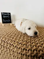 processed/0653e1ea-c266-459c-94d9-b42b5c87e3f1/listing/1ebc5475-cd98-4bff-9821-b0767837235b/bf3ec853-123f-4e99-bc31-be4289b688bd