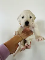 processed/0653e1ea-c266-459c-94d9-b42b5c87e3f1/listing/1ebc5475-cd98-4bff-9821-b0767837235b/ddde9fc2-8222-46c3-a369-0c51ed5d083d