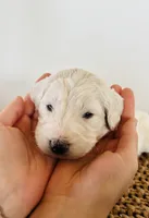 processed/0653e1ea-c266-459c-94d9-b42b5c87e3f1/listing/4d02840b-83c9-442a-ac79-5d0a80a5e509/28af7fc4-b459-46a4-8225-bf4c9cf1a2b6