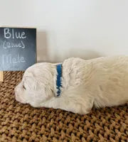 processed/0653e1ea-c266-459c-94d9-b42b5c87e3f1/listing/4d02840b-83c9-442a-ac79-5d0a80a5e509/921d380b-aa8c-445b-a01c-80fabb847b21