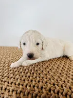 processed/0653e1ea-c266-459c-94d9-b42b5c87e3f1/listing/4d02840b-83c9-442a-ac79-5d0a80a5e509/9f2e2e38-7e01-47b2-b939-14e9d05256dd