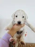 processed/0653e1ea-c266-459c-94d9-b42b5c87e3f1/listing/4d02840b-83c9-442a-ac79-5d0a80a5e509/b2507969-6d34-4798-9ac7-58f498e06aab