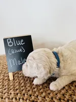 processed/0653e1ea-c266-459c-94d9-b42b5c87e3f1/listing/4d02840b-83c9-442a-ac79-5d0a80a5e509/b93b644d-cbee-4fe6-b4d3-00cf1826202a