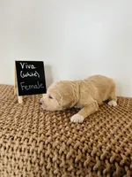 processed/0653e1ea-c266-459c-94d9-b42b5c87e3f1/listing/4f161644-aed0-4c5f-916a-07ee80bf8d8f/2713a3cf-37cc-4517-bb50-03a75f52e465