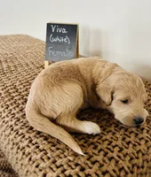 processed/0653e1ea-c266-459c-94d9-b42b5c87e3f1/listing/4f161644-aed0-4c5f-916a-07ee80bf8d8f/2f861296-ae27-471d-a2fa-768624334ae8