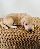 processed/0653e1ea-c266-459c-94d9-b42b5c87e3f1/listing/4f161644-aed0-4c5f-916a-07ee80bf8d8f/49bfce51-9e48-4c35-af0f-f38f3244e7d5