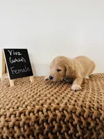 processed/0653e1ea-c266-459c-94d9-b42b5c87e3f1/listing/4f161644-aed0-4c5f-916a-07ee80bf8d8f/5caddf14-e7e0-456c-bc77-dd488c3d6cab