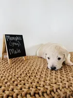 processed/0653e1ea-c266-459c-94d9-b42b5c87e3f1/listing/5098c450-a74d-4899-b7d1-591d39704e06/17c84fab-28b8-4ed8-81fb-ca3711fae735