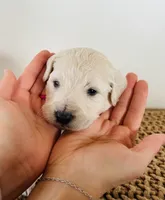 processed/0653e1ea-c266-459c-94d9-b42b5c87e3f1/listing/5098c450-a74d-4899-b7d1-591d39704e06/7947fc6e-b57c-4f0b-a669-8181af4446cd