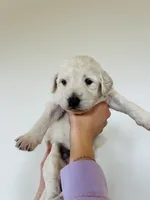 processed/0653e1ea-c266-459c-94d9-b42b5c87e3f1/listing/5098c450-a74d-4899-b7d1-591d39704e06/b3d5e2dd-8619-4735-b246-28f57a166248