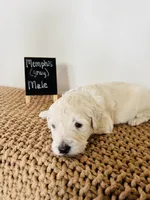 processed/0653e1ea-c266-459c-94d9-b42b5c87e3f1/listing/5098c450-a74d-4899-b7d1-591d39704e06/c860f493-4ce8-40b8-99e6-8a6c356150ca