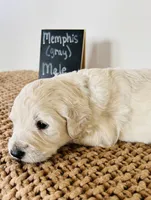 processed/0653e1ea-c266-459c-94d9-b42b5c87e3f1/listing/5098c450-a74d-4899-b7d1-591d39704e06/d147009e-e15f-4cf3-8ee5-547ebed691e4