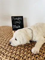 processed/0653e1ea-c266-459c-94d9-b42b5c87e3f1/listing/5098c450-a74d-4899-b7d1-591d39704e06/eb32c90c-4add-48b7-871f-2a64ca41ddb0