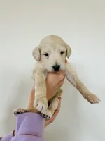 processed/0653e1ea-c266-459c-94d9-b42b5c87e3f1/listing/a93e7be5-b4da-443a-9777-3884241c1144/0186c049-a2b6-4278-a6ee-3e1dc88ba1df