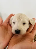 processed/0653e1ea-c266-459c-94d9-b42b5c87e3f1/listing/a93e7be5-b4da-443a-9777-3884241c1144/15e163b6-b87c-4650-bf68-034c6863f347