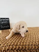 processed/0653e1ea-c266-459c-94d9-b42b5c87e3f1/listing/a93e7be5-b4da-443a-9777-3884241c1144/3ec55edb-a95a-4df5-b40a-ce350e43c3c3