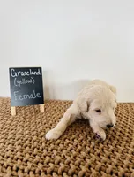 processed/0653e1ea-c266-459c-94d9-b42b5c87e3f1/listing/a93e7be5-b4da-443a-9777-3884241c1144/620d1d39-d07c-4029-9102-05fab614642e