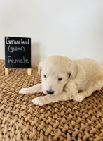 processed/0653e1ea-c266-459c-94d9-b42b5c87e3f1/listing/a93e7be5-b4da-443a-9777-3884241c1144/babf4a79-68d9-4621-941e-bd57ea28c62a