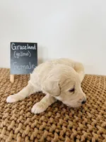 processed/0653e1ea-c266-459c-94d9-b42b5c87e3f1/listing/a93e7be5-b4da-443a-9777-3884241c1144/de89ee6b-f330-422e-bd57-f05bb1f191cc