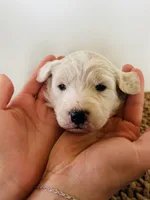 processed/0653e1ea-c266-459c-94d9-b42b5c87e3f1/listing/b748065c-df9b-406f-bf36-c062f7afac7a/1ec1fd14-53ce-4f2a-8ea6-f43c0051313d