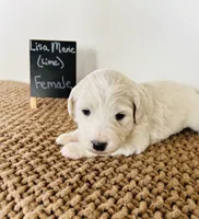 processed/0653e1ea-c266-459c-94d9-b42b5c87e3f1/listing/b748065c-df9b-406f-bf36-c062f7afac7a/4d6dc5e8-ffb0-4d0c-8179-3ac8bf90aad1