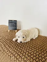 processed/0653e1ea-c266-459c-94d9-b42b5c87e3f1/listing/b748065c-df9b-406f-bf36-c062f7afac7a/a5d1ce33-0ea1-4ee5-bef4-8dd085c1adca