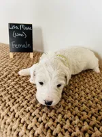 processed/0653e1ea-c266-459c-94d9-b42b5c87e3f1/listing/b748065c-df9b-406f-bf36-c062f7afac7a/affc2034-f32b-4059-beed-0bbf02fbb027