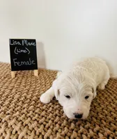 processed/0653e1ea-c266-459c-94d9-b42b5c87e3f1/listing/b748065c-df9b-406f-bf36-c062f7afac7a/b7549bd6-4ab2-463f-9c49-2029a915667c