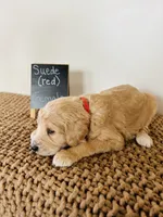 processed/0653e1ea-c266-459c-94d9-b42b5c87e3f1/listing/c5b08f99-c8b3-4aec-8a4e-a24ae32f75c2/00730e7b-3d4c-4295-8841-ef13880c47d7