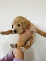 processed/0653e1ea-c266-459c-94d9-b42b5c87e3f1/listing/c5b08f99-c8b3-4aec-8a4e-a24ae32f75c2/28da532d-22b9-40dc-8af2-67b6998cc11f