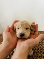 processed/0653e1ea-c266-459c-94d9-b42b5c87e3f1/listing/c5b08f99-c8b3-4aec-8a4e-a24ae32f75c2/4614054d-93cc-4da2-bfdf-fbe5442f8c43