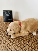 processed/0653e1ea-c266-459c-94d9-b42b5c87e3f1/listing/c5b08f99-c8b3-4aec-8a4e-a24ae32f75c2/b3d44b66-8a2c-436b-9f92-eed0d3786d33