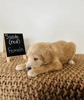 processed/0653e1ea-c266-459c-94d9-b42b5c87e3f1/listing/c5b08f99-c8b3-4aec-8a4e-a24ae32f75c2/f43cba9e-858e-4fd2-8a02-e181f90350f2