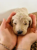 processed/0653e1ea-c266-459c-94d9-b42b5c87e3f1/listing/eab29ba2-77c9-45ca-91b3-de5c39ce714e/1f71f7f5-06e4-4b6d-82e9-636f3be18c98