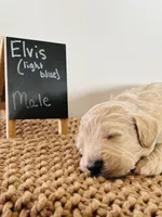 processed/0653e1ea-c266-459c-94d9-b42b5c87e3f1/listing/eab29ba2-77c9-45ca-91b3-de5c39ce714e/6ecf0d2b-98ef-4378-8d90-7517a9f97ab5