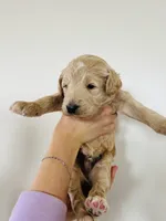 processed/0653e1ea-c266-459c-94d9-b42b5c87e3f1/listing/eab29ba2-77c9-45ca-91b3-de5c39ce714e/7c2351b6-997a-43e3-968e-93e2081c8767