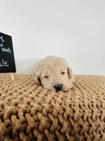 processed/0653e1ea-c266-459c-94d9-b42b5c87e3f1/listing/eab29ba2-77c9-45ca-91b3-de5c39ce714e/91b0fc48-d479-482b-a7bc-5177f52f0e77