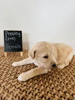 processed/0653e1ea-c266-459c-94d9-b42b5c87e3f1/listing/f98e9803-1ac1-4554-acec-370b5986ff2c/1d683ca3-e28a-48e4-81a7-c393f1b3fdaf