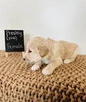 processed/0653e1ea-c266-459c-94d9-b42b5c87e3f1/listing/f98e9803-1ac1-4554-acec-370b5986ff2c/24c1111f-ec68-4ac5-b6a8-3b925fd4a420