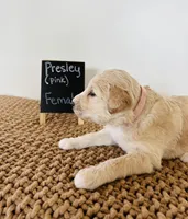 processed/0653e1ea-c266-459c-94d9-b42b5c87e3f1/listing/f98e9803-1ac1-4554-acec-370b5986ff2c/533268ab-83bd-4392-9e13-91ec72334a20