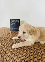 processed/0653e1ea-c266-459c-94d9-b42b5c87e3f1/listing/f98e9803-1ac1-4554-acec-370b5986ff2c/6766d1fb-b388-43fe-a0a0-f5990732611c