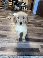 processed/06645dab-a538-484d-b318-f911e92e2a12/listing/011b9bcc-41ff-4ab0-a26d-ef76526ed189/0dfbb87a-a0c8-4927-b683-08a90b056aeb