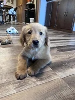 processed/06645dab-a538-484d-b318-f911e92e2a12/listing/011b9bcc-41ff-4ab0-a26d-ef76526ed189/3f3e1ffe-5a2f-4fe8-8c12-94c8a1f00d22