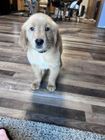 processed/06645dab-a538-484d-b318-f911e92e2a12/listing/011b9bcc-41ff-4ab0-a26d-ef76526ed189/65903737-3c9a-4632-a70f-d59e1742d6b0