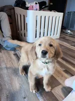 processed/06645dab-a538-484d-b318-f911e92e2a12/listing/011b9bcc-41ff-4ab0-a26d-ef76526ed189/8a0747f9-73b0-4a74-8020-c5af9ec86cf0