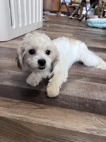 processed/06645dab-a538-484d-b318-f911e92e2a12/listing/116eaeee-755b-4408-a685-852edb65fae5/30ebd72c-578b-4f20-a77d-fde6d2e94fdc