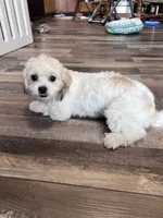 processed/06645dab-a538-484d-b318-f911e92e2a12/listing/116eaeee-755b-4408-a685-852edb65fae5/3d1789fc-b9e5-4263-be5a-f0c623430428