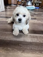 processed/06645dab-a538-484d-b318-f911e92e2a12/listing/116eaeee-755b-4408-a685-852edb65fae5/7726b741-4992-47f7-a734-1936c40dedb3