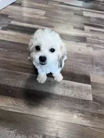 processed/06645dab-a538-484d-b318-f911e92e2a12/listing/116eaeee-755b-4408-a685-852edb65fae5/9230190c-6020-49eb-833c-c9e29a3d157a